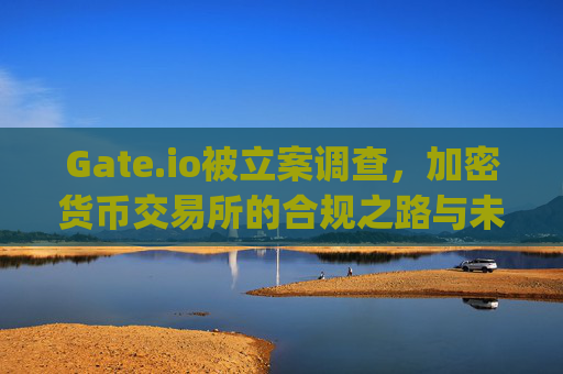 Gate.io被立案调查，加密货币交易所的合规之路与未来展望 gate.io被立案