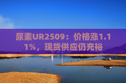 尿素UR2509：价格涨1.11%，现货供应仍充裕