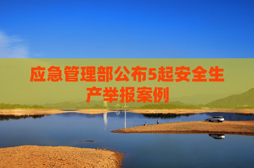 应急管理部公布5起安全生产举报案例