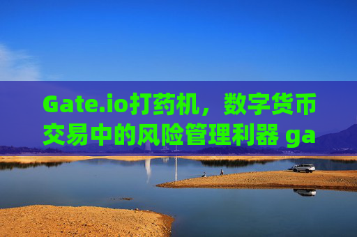 Gate.io打药机，数字货币交易中的风险管理利器 gate.io打药机