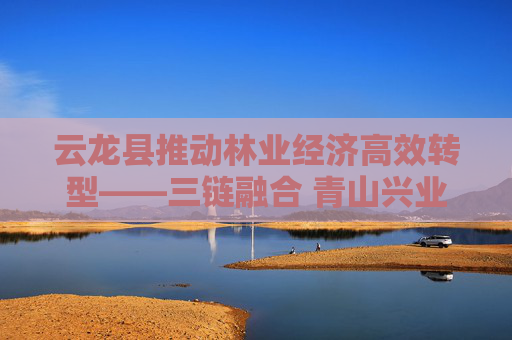 云龙县推动林业经济高效转型——三链融合 青山兴业