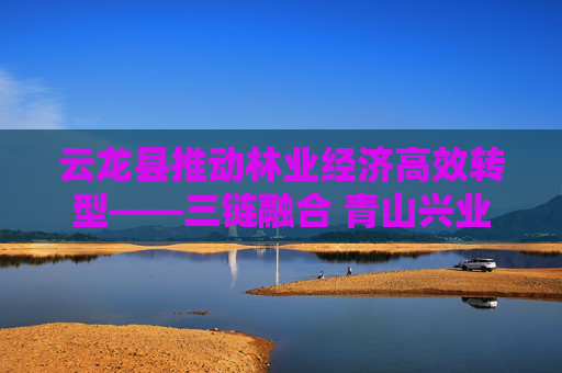 云龙县推动林业经济高效转型——三链融合 青山兴业