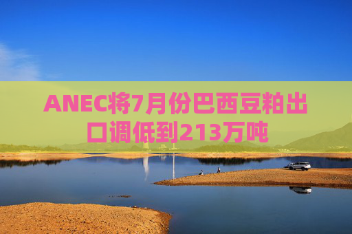ANEC将7月份巴西豆粕出口调低到213万吨