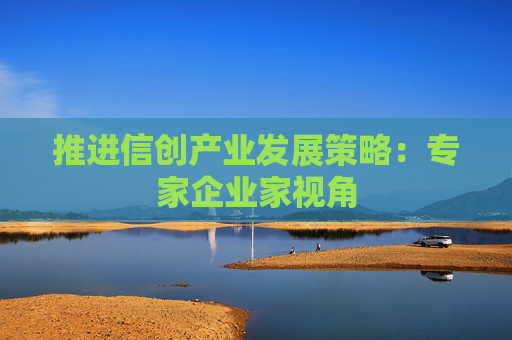 推进信创产业发展策略:专家企业家视角