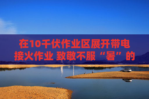在10千伏作业区展开带电接火作业 致敬不服“暑”的电力“小黄人”