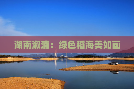 湖南溆浦：绿色稻海美如画