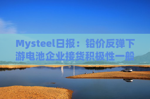 Mysteel日报：铅价反弹下游电池企业接货积极性一般