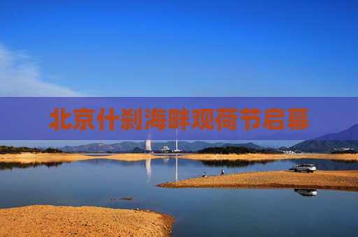北京什刹海畔观荷节启幕