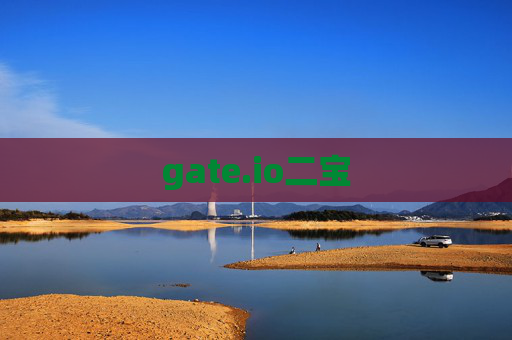 gate.io二宝