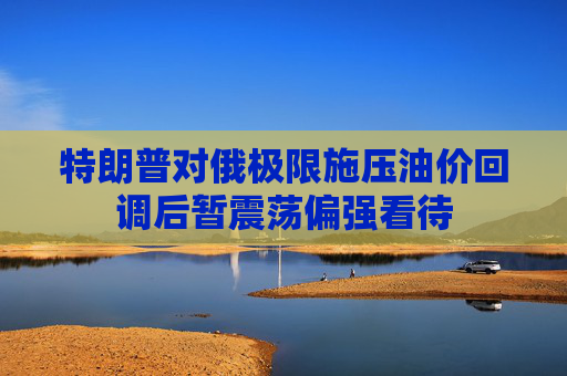 特朗普对俄极限施压油价回调后暂震荡偏强看待