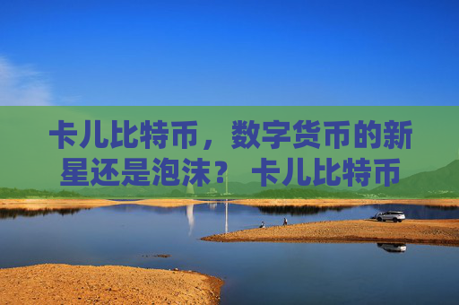 卡儿比特币，数字货币的新星还是泡沫？ 卡儿比特币