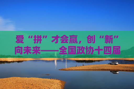 爱“拼”才会赢，创“新”向未来——全国政协十四届二次会议第三场“委员通道”扫描