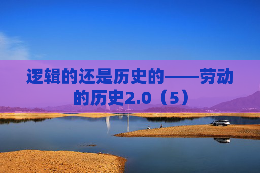 逻辑的还是历史的——劳动的历史2.0（5）