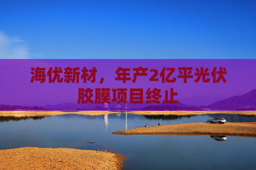 海优新材，年产2亿平光伏胶膜项目终止