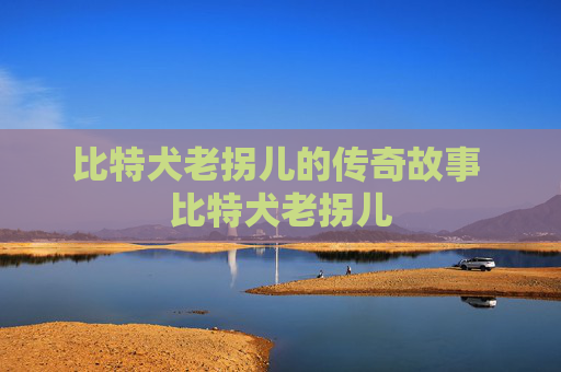 比特犬老拐儿的传奇故事 比特犬老拐儿