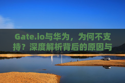 Gate.io与华为，为何不支持？深度解析背后的原因与影响