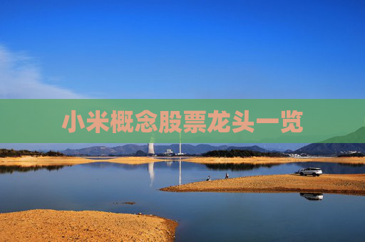 小米概念股票龙头一览