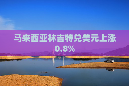 马来西亚林吉特兑美元上涨0.8%