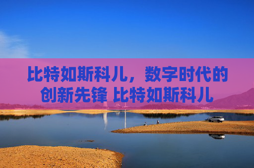 比特如斯科儿，数字时代的创新先锋 比特如斯科儿
