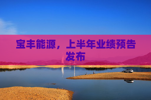 宝丰能源，上半年业绩预告发布