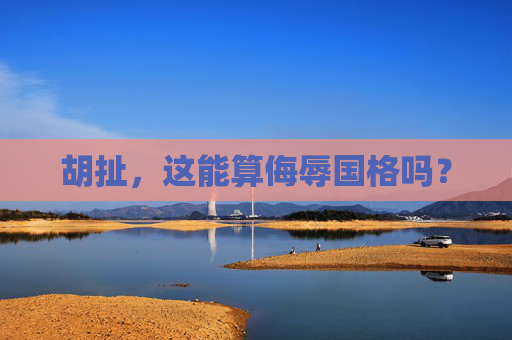 胡扯，这能算侮辱国格吗？