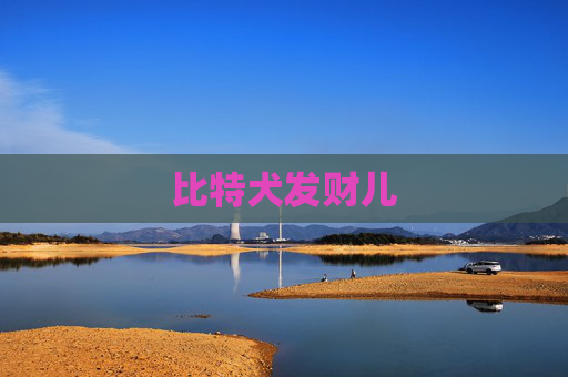 比特犬发财儿