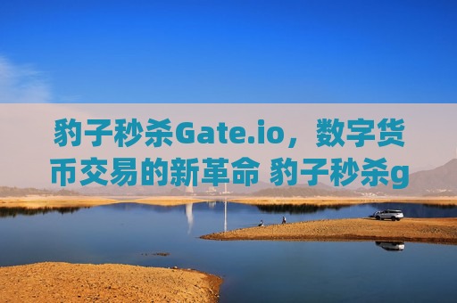 豹子秒杀Gate.io，数字货币交易的新革命 豹子秒杀gate.io