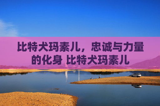 比特犬玛素儿，忠诚与力量的化身 比特犬玛素儿