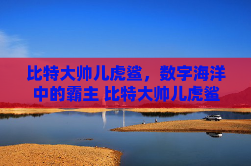 比特大帅儿虎鲨，数字海洋中的霸主 比特大帅儿虎鲨