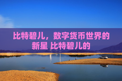 比特碧儿，数字货币世界的新星 比特碧儿的