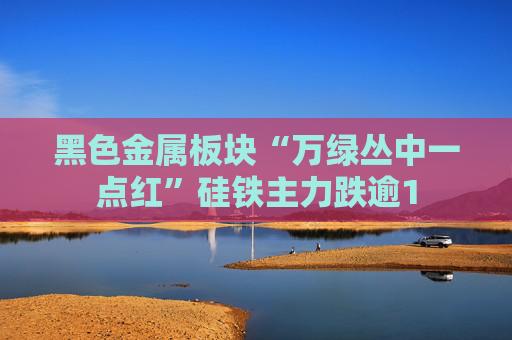 黑色金属板块“万绿丛中一点红”硅铁主力跌逾1