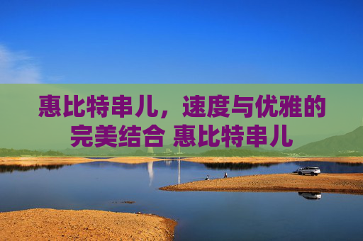 惠比特串儿，速度与优雅的完美结合 惠比特串儿