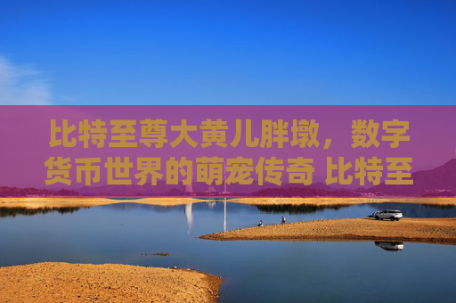 比特至尊大黄儿胖墩，数字货币世界的萌宠传奇 比特至尊大黄儿胖墩
