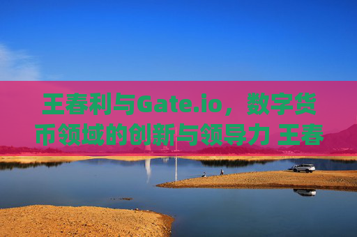 王春利与Gate.io，数字货币领域的创新与领导力 王春利gate.io