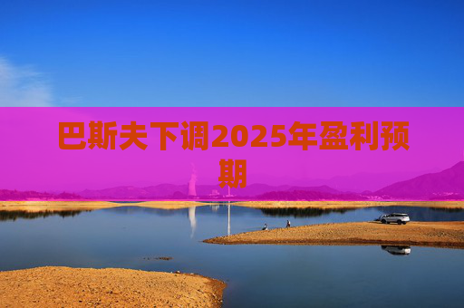 巴斯夫下调2025年盈利预期