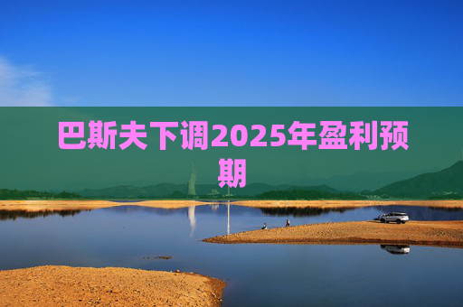 巴斯夫下调2025年盈利预期