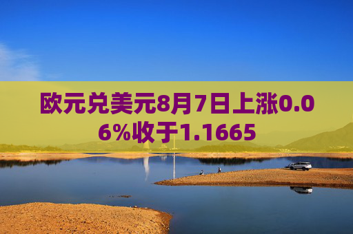 欧元兑美元8月7日上涨0.06%收于1.1665