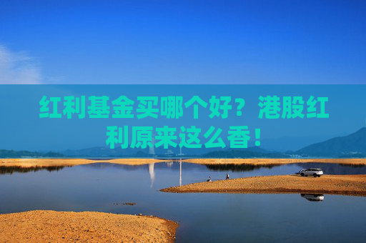 红利基金买哪个好？港股红利原来这么香！