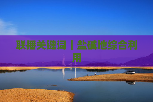 联播关键词｜盐碱地综合利用