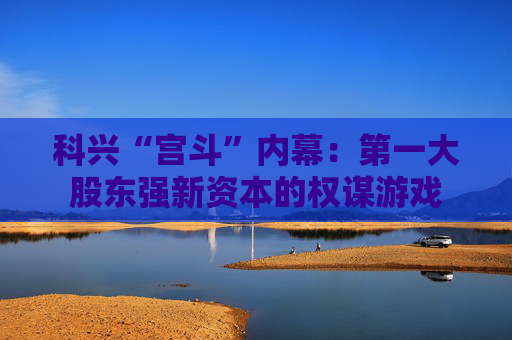 科兴“宫斗”内幕：第一大股东强新资本的权谋游戏