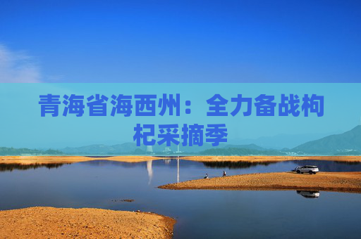 青海省海西州：全力备战枸杞采摘季