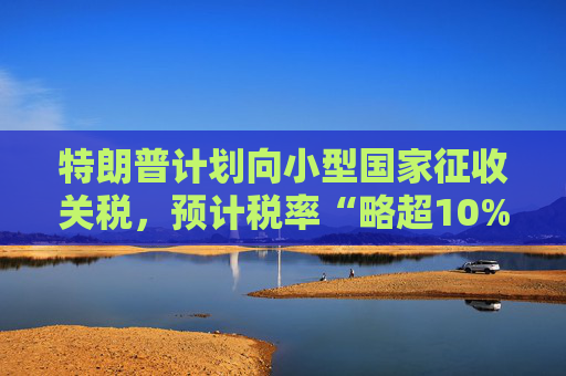 特朗普计划向小型国家征收关税，预计税率“略超10%”