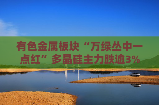有色金属板块“万绿丛中一点红”多晶硅主力跌逾3%