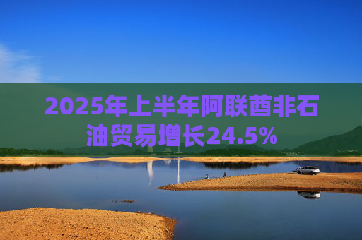 2025年上半年阿联酋非石油贸易增长24.5%