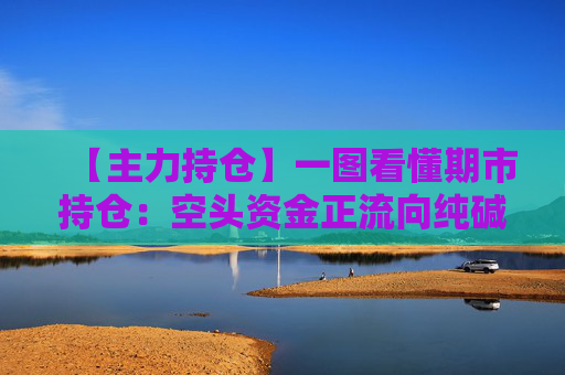 【主力持仓】一图看懂期市持仓：空头资金正流向纯碱、螺纹钢、豆粕等品种