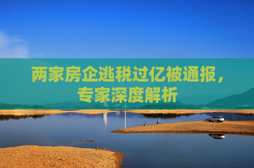两家房企逃税过亿被通报，专家深度解析