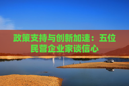 政策支持与创新加速：五位民营企业家谈信心