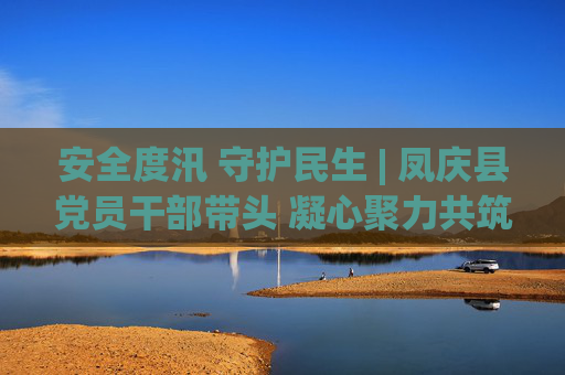 安全度汛 守护民生 | 凤庆县党员干部带头 凝心聚力共筑安全堤