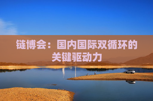 链博会：国内国际双循环的关键驱动力