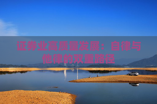 证券业高质量发展：自律与他律的双重路径